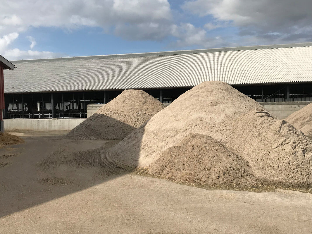 Sand recovery recycling from manure for cow bedding-1